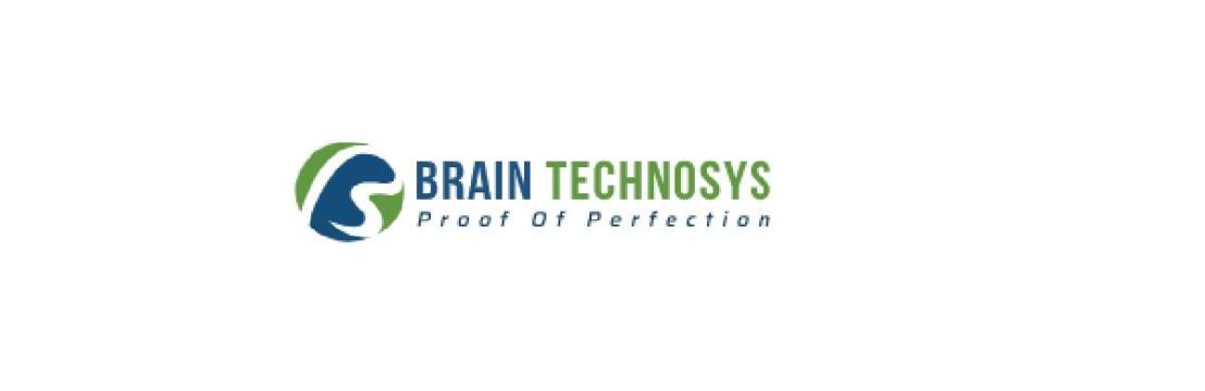 Brain Technosys  Pvt Ltd