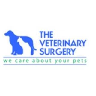 The Veterinary  Surgery