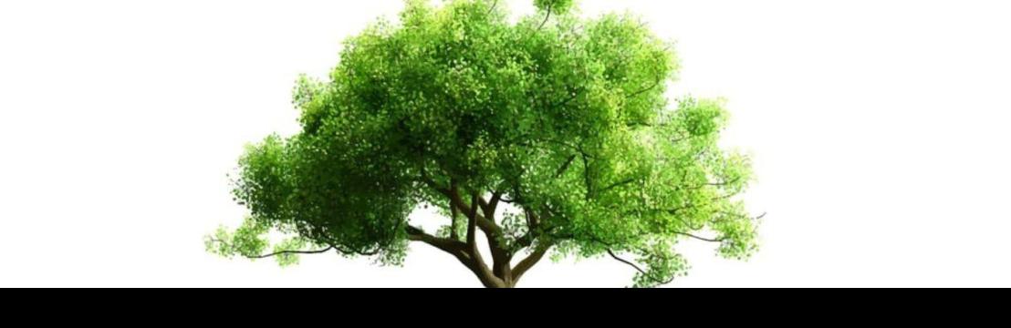 Elk Grove  Tree Pros