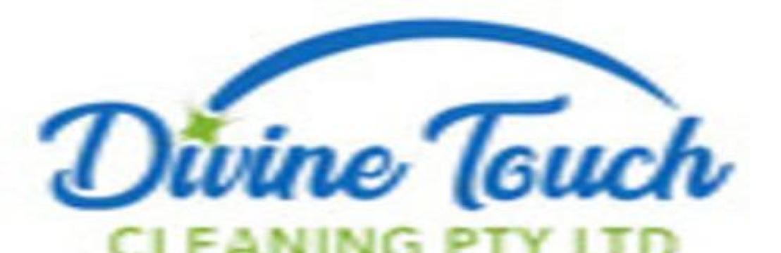 Divine Touch Cleaning